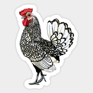 Chicken 3, Colorized (2022) Sticker